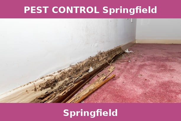 PEST CONTROL Springfield